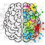 Nootropic citicoline gives the brain energy